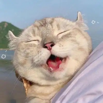 李明